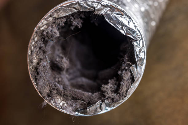 Best HVAC Duct Inspection Services  in Cheney, WA